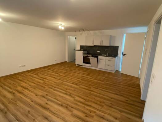 Wohnung zur Miete 600 € 2 Zimmer 60 m² Geschoss -1/1 frei ab sofort Langenenslingen 88515