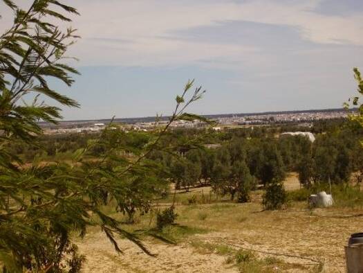 Bauernhaus zum Kauf 50.000 € 4 Zimmer 50 m² 10.000 m² Grundstück Rociana del Condado 21720