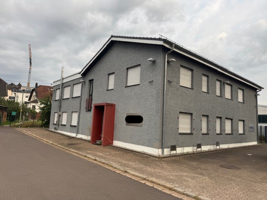 Büro zum Kauf provisionsfrei 350.000 € 14 Zimmer 350 m² Bürofläche Wadern 66687