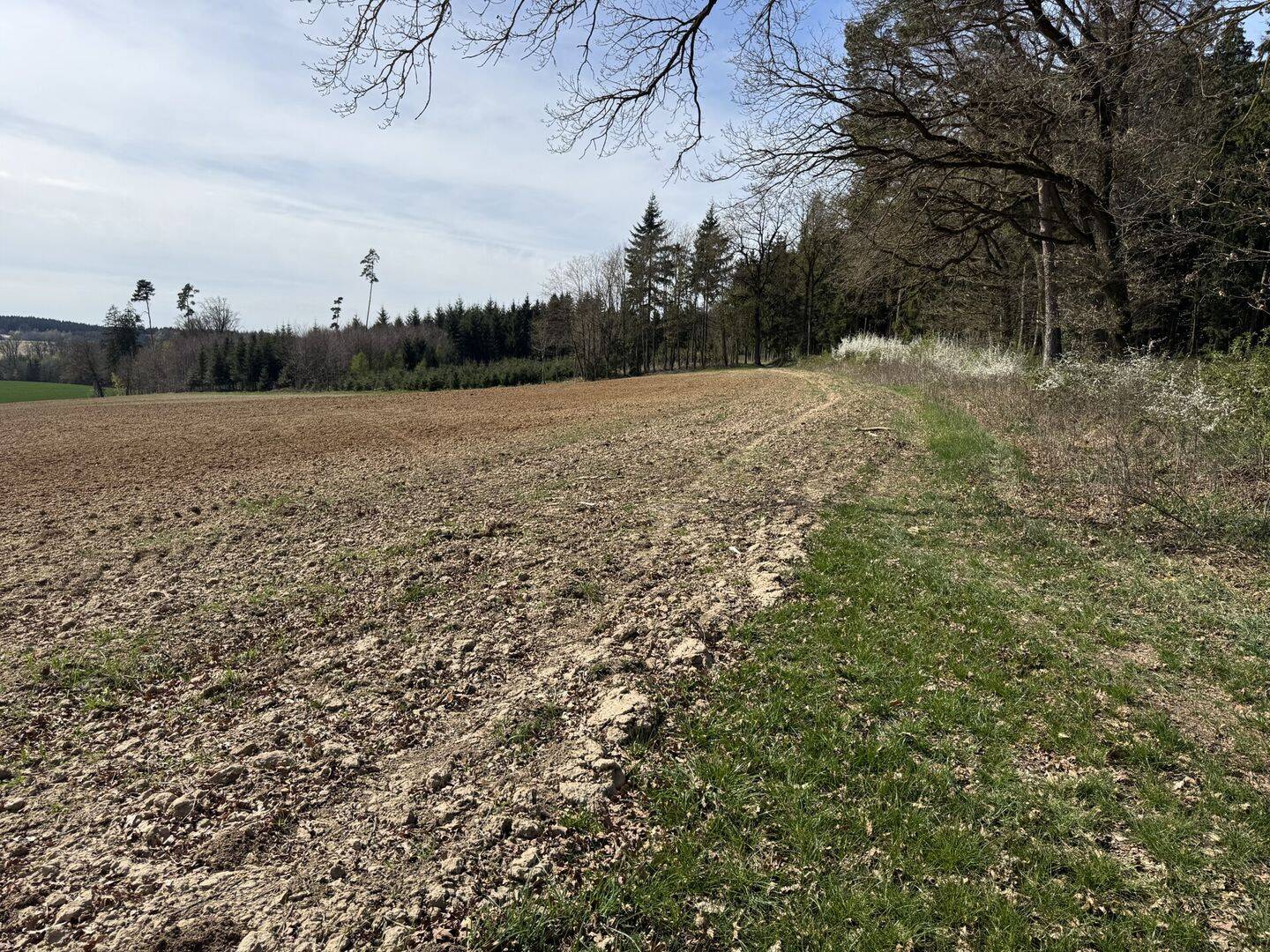 Land-/Forstwirtschaft zum Kauf - Mehr