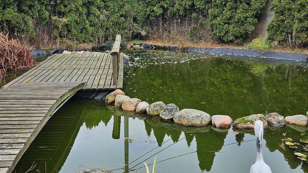 Mehrfamilienhaus zum Kauf 148.000 € 16 Zimmer 300 m² 22.200 m² Grundstück frei ab sofort Beiersdorf Uebigau-Wahrenbrück 04924