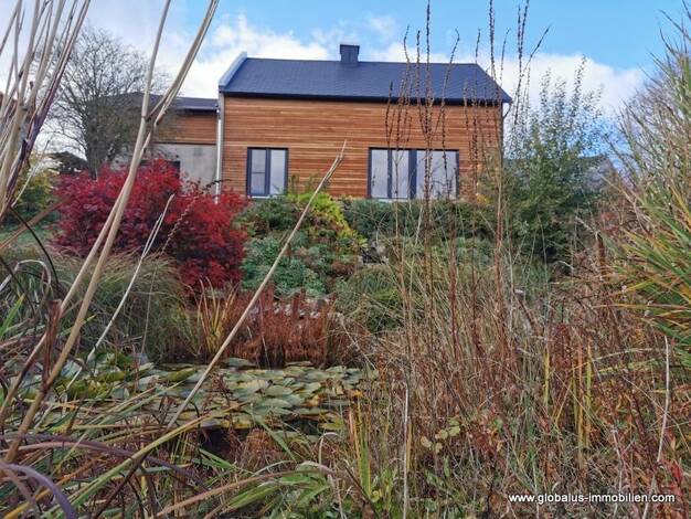 Einfamilienhaus zum Kauf 249.500 € 3 Zimmer 117,1 m² 2.244 m² Grundstück Mühltroff Pausa-Mühltroff 07919