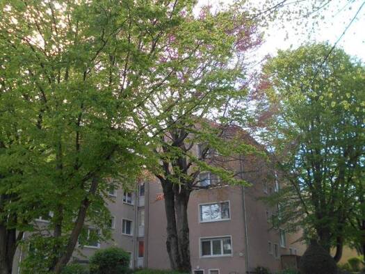 Wohnung zum Kauf provisionsfrei 199.000 € 2 Zimmer 50,6 m² EG Wielandstraße 45 Wiesbaden 65187