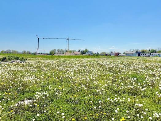 Grundstück zum Kauf provisionsfrei 409.220 € 617 m² Grundstück frei ab sofort Mühldorf 84453