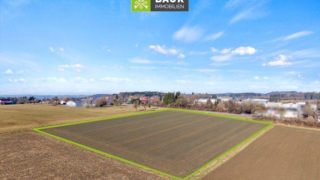 Land-/Forstwirtschaft zum Kauf 225.000 € 24.493 m² Grundstück Grünkraut 88287