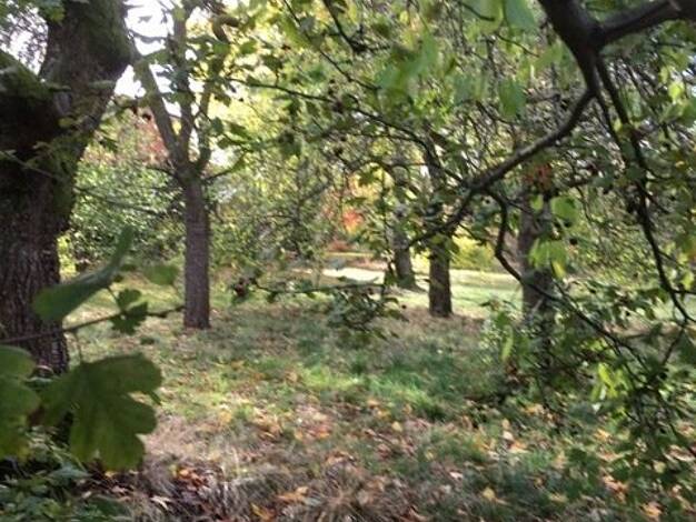 Einfamilienhaus zum Kauf provisionsfrei 46.000.000 € 5 Zimmer 142 m² 900 m² Grundstück Altmittweida 09648