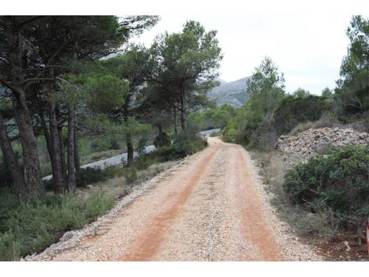 Acker-/Waldstück zum Kauf 149.000 € Arcos de Jalón 00000