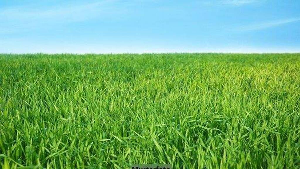 Land-/Forstwirtschaft zum Kauf 9.639 € 2.835 m² Grundstück Nieder-Saulheim Ober-Saulheim 55291