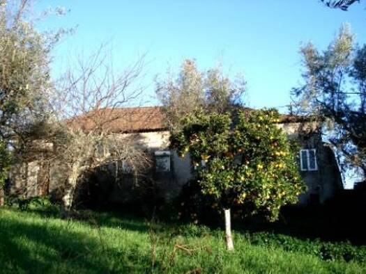 Einfamilienhaus zum Kauf 92.120 € 1 Zimmer 1.930 m² Grundstück Pedrógão Grande 3270-078
