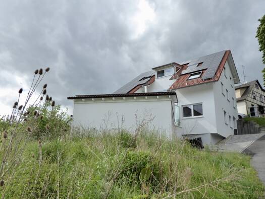 Mehrfamilienhaus zum Kauf 1.500.000 € 10 Zimmer 291 m² 2.410 m² Grundstück Ebersberg Erbach 64711