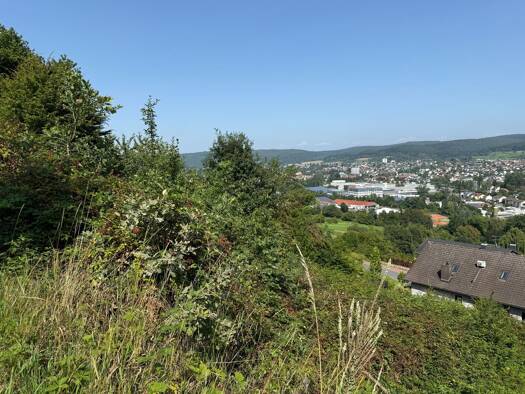 Grundstück zum Kauf 140.000 € 805 m² Grundstück Erbach 64711