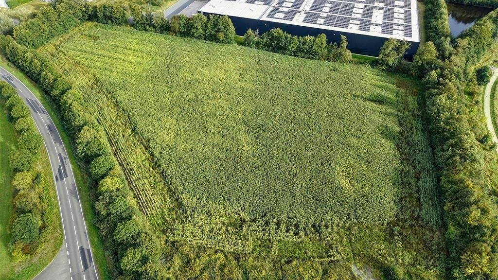 Gewerbegrundstück zum Kauf 2.259.950 € 20.545 m² Grundstück Moorhausen Lilienthal b Bremen 28865