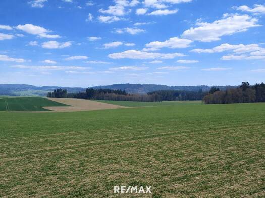 Landwirtschaftliche Fläche zum Kauf 195.000 m² Grundstück St. Willibald 4762