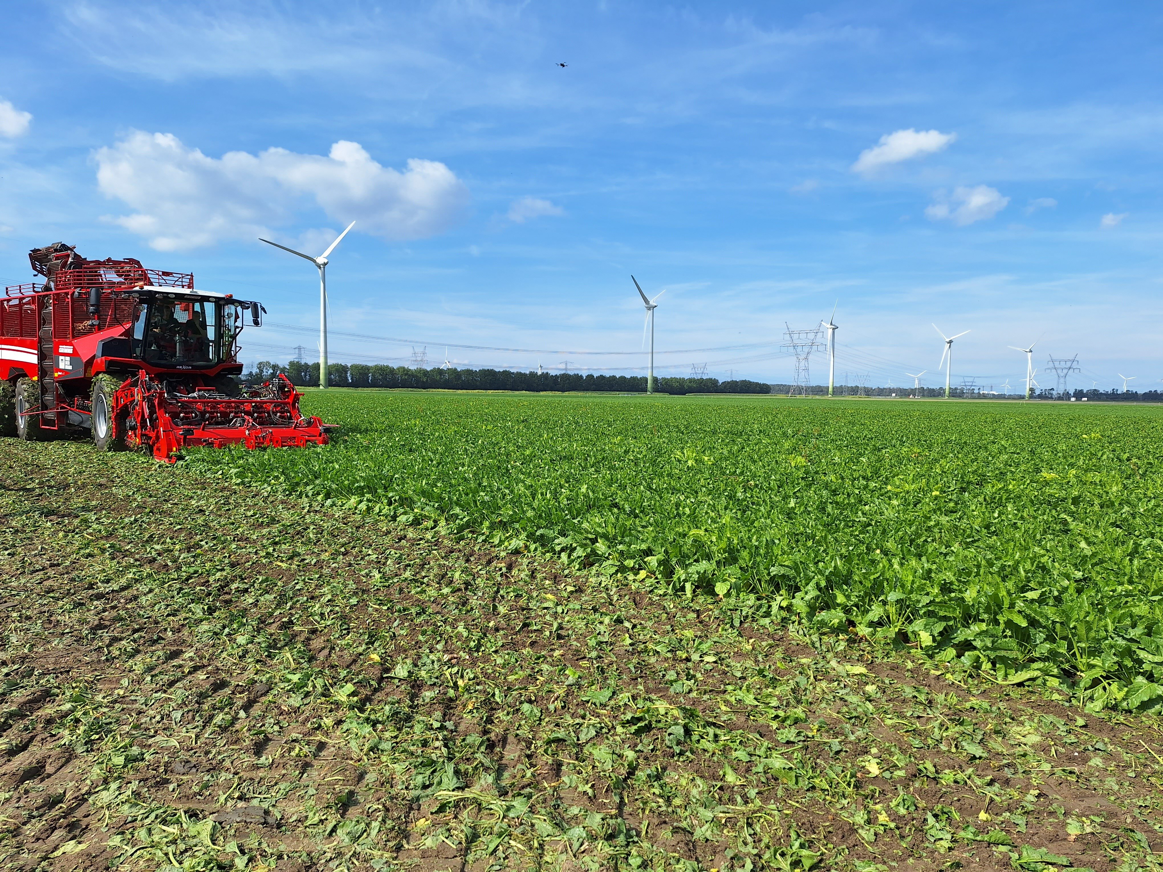 Landwirtschaftliche Fläche zum Kauf provisionsfrei 6.100.000 m²<br/>Fläche 6.100.000 m²<br/>Grundstück Liessow Laage 18299