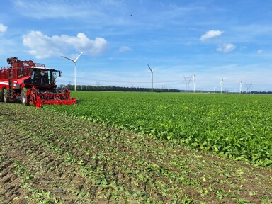 Landwirtschaftliche Fläche zum Kauf provisionsfrei 6.100.000 m² 6.100.000 m² Grundstück Liessow Laage 18299