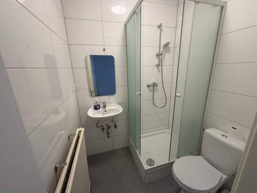 Wohnung zur Miete 550 € 2 Zimmer 49,4 m² EG Tuttlingen 78532