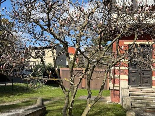 Villa zum Kauf 280.000 € 8 Zimmer 250 m² 1.539 m² Grundstück Blankenburg Blankenburg 38889