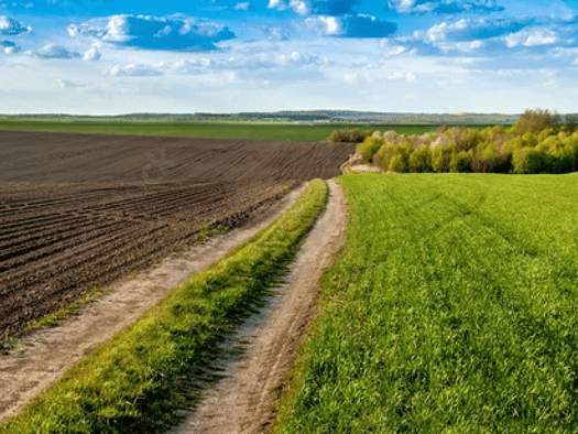 Land-/Forstwirtschaft zum Kauf Haunstetten Haunstetten - Siebenbrunn 86179