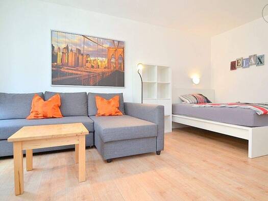 Wohnung zur Miete Wohnen auf Zeit 695 € 1 Zimmer 29 m² frei ab 21.01.2026 Gostenhof Nürnberg 90429