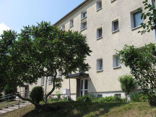 Wohnung zur Miete 504 € 3 Zimmer 56 m² 2. Geschoss Frankenheimer Straße 10 c Dölzig Schkeuditz 04435