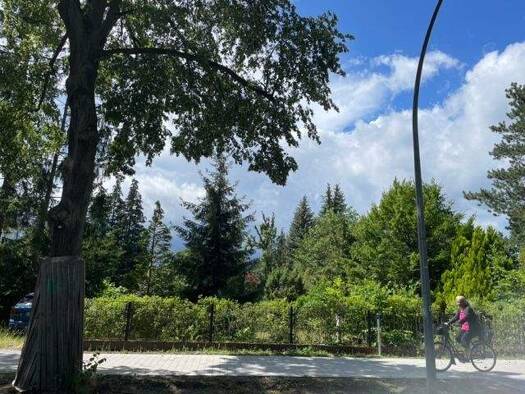 Wohnung zum Kauf provisionsfrei 367.100 € 3 Zimmer 80,2 m² EG Ernst-Thälmann-Straße 42 Strausberg 15344