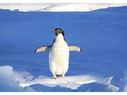 Terrassenwohnung zur Miete nur mit Wohnberechtigungsschein 533 € 2 Zimmer 59,8 m² 1. Geschoss frei ab sofort Schweizer Tal 44 Französisch Buchholz Berlin 13127