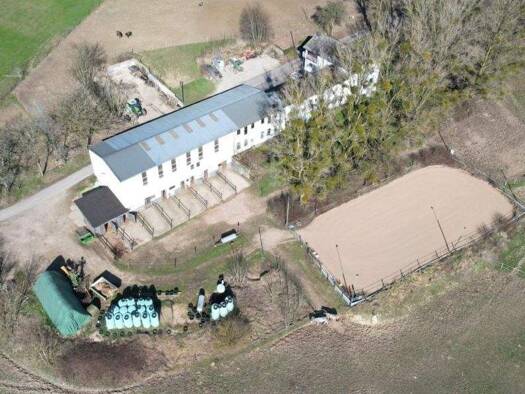 Bauernhaus zum Kauf 950.000 € 9 Zimmer 210 m² 66.758 m² Grundstück Mettendorf 54675