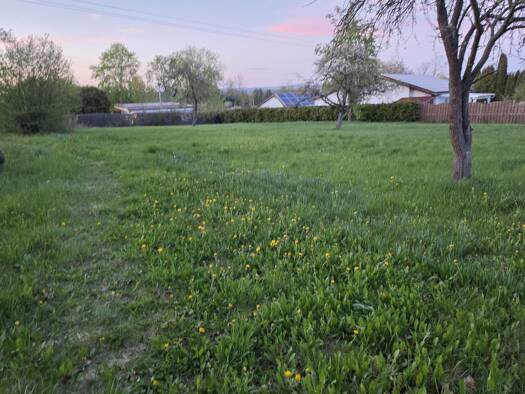 Grundstück zum Kauf 185.000 € 2.398 m² Grundstück Mühlhausen Mühlhausen/Thüringen 99974