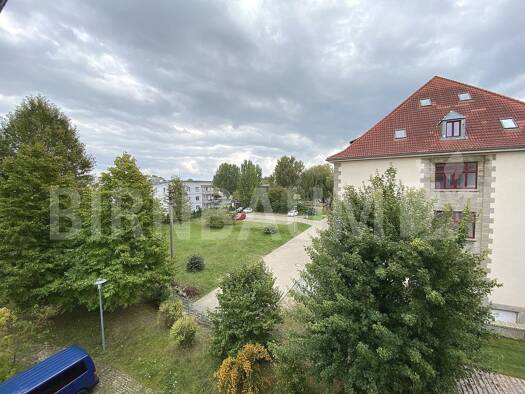 Wohnung zur Miete 230 € 1 Zimmer 20 m² EG frei ab sofort Nördliche Mühlenvorstadt Greifswald 17489