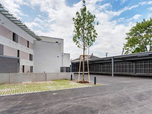 Außenstellplatz zur Miete 70 € Deutsch-Wagram 2232