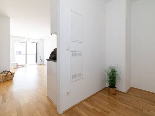 Wohnung zum Kauf 290.000 € 50 m² Schwechat 2320