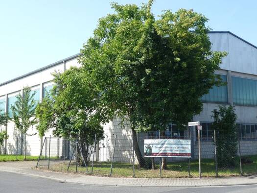 Halle/Industriefläche zur Miete 3.500 € 1.000 m² Lagerfläche teilbar von 500 m² bis 500 m² Niedernberg 63843