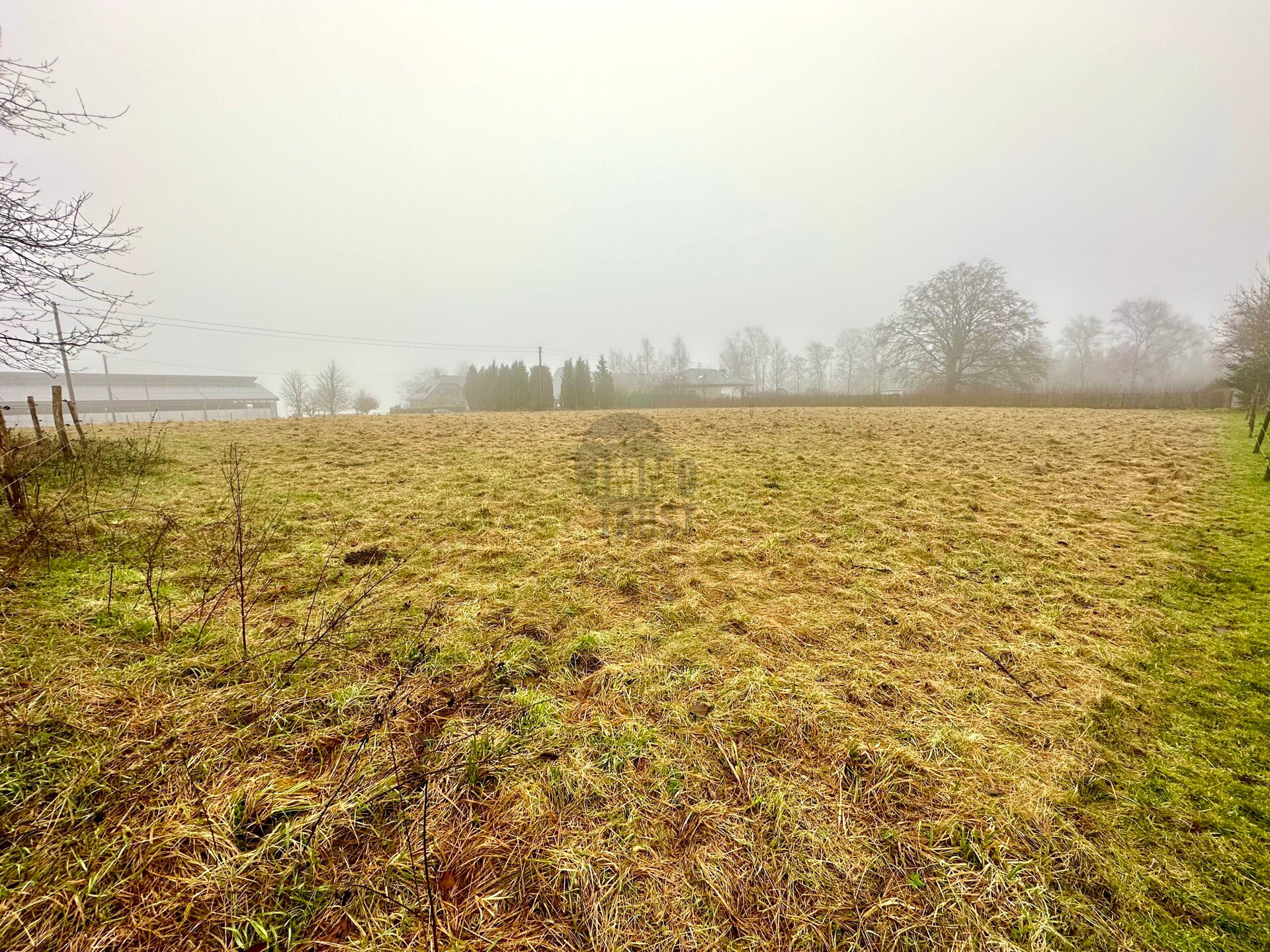 Grundstück zum Kauf 87.500 € 3.100 m²<br/>Grundstück Losheim Hellenthal 53940