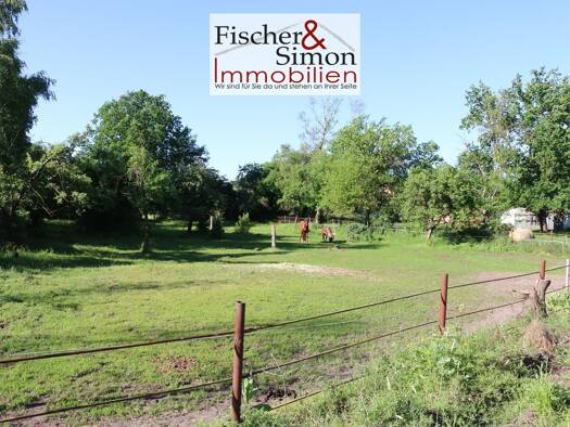 Grundstück zum Kauf 89.900 € 2.000 m² Grundstück Rodewald 31637