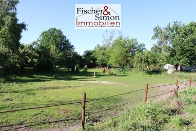 Grundstück zum Kauf 89.900 € 2.000 m² Grundstück Rodewald 31637