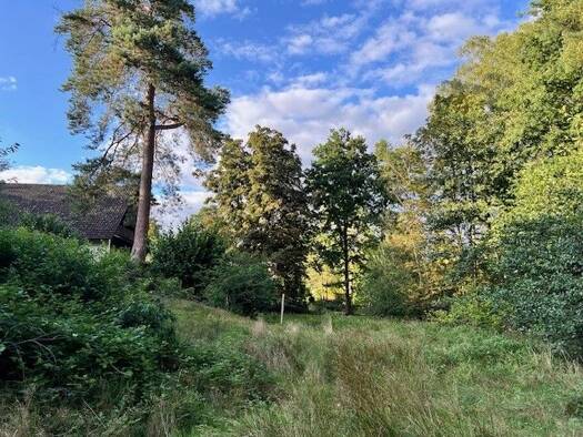 Grundstück zum Kauf 180.000 € 850 m² Grundstück frei ab sofort Asendorf Asendorf 21271