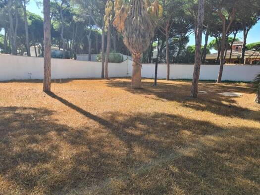 Acker-/Waldstück zum Kauf 360.000 € Chiclana de la Frontera 11139