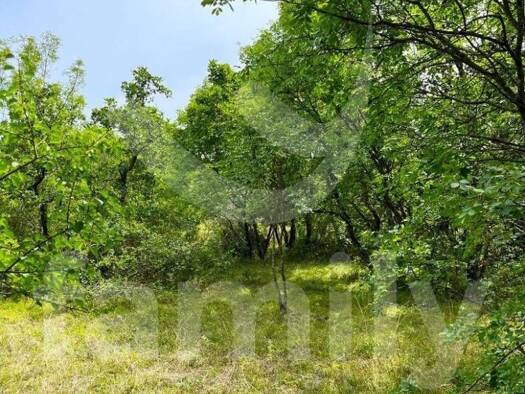 Acker-/Waldstück zum Kauf 39.000 € Višnjan 52463