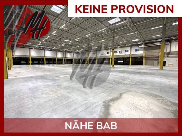 Lagerhalle zur Miete provisionsfrei 5.750 m² Lagerfläche Groß-Gerau 64521