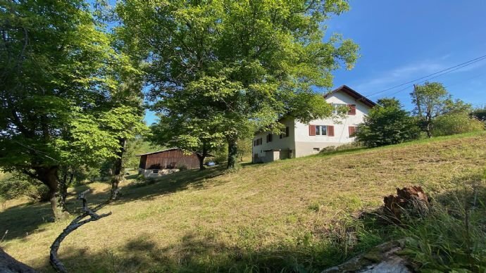 Bauernhof zum Kauf 125 m²<br/>Fläche 61.364 m²<br/>Grundstück Leutschach an der Weinstraße 8452