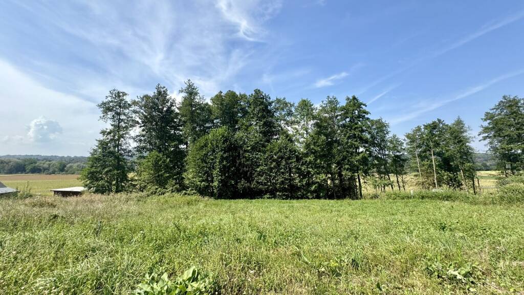 Grundstück zum Kauf 55.000 € 901 m² Grundstück Sankt Johann im Saggautal 8453