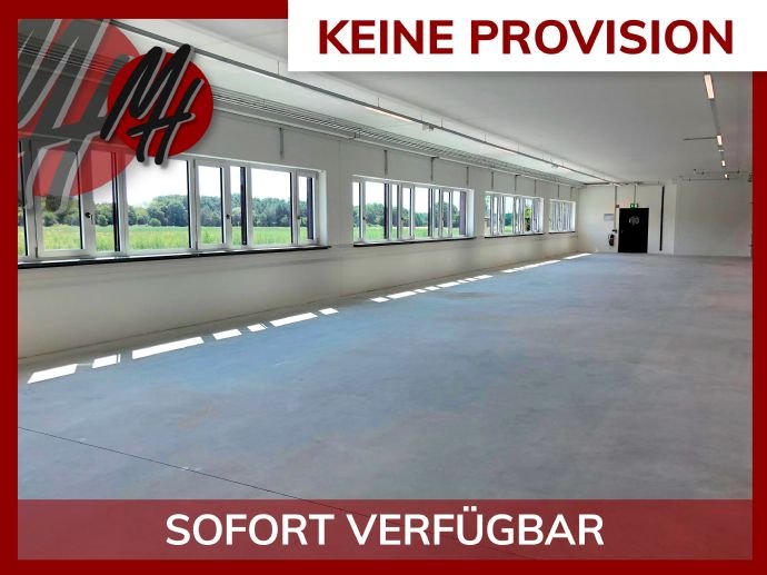 Halle/Industriefläche zur Miete provisionsfrei 1.200 m²<br/>Lagerfläche Egelsbach 63329