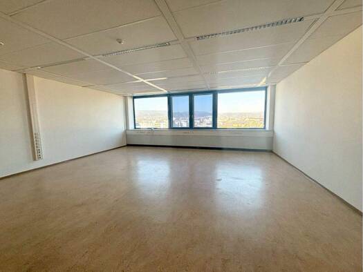 Büro zur Miete provisionsfrei 10 € 1 Zimmer 72 m² Bürofläche Wiener Neudorf 2351