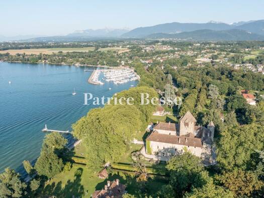 Schloss zum Kauf 8.500.000 € 15 Zimmer 1.400 m² 12.289 m² Grundstück Nernier 74140