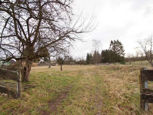 Grundstück zum Kauf 99.999 € 3.093 m² Grundstück frei ab sofort Noswendel Wadern 66687