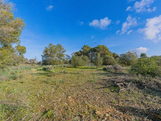 Grundstück zum Kauf 139.000 € 23.344 m² Grundstück PALMA DE MALLORCA 07199