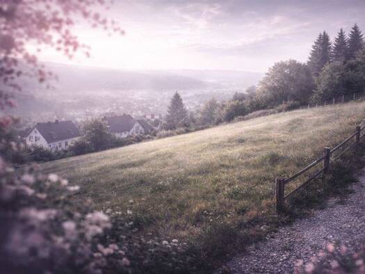 Grundstück zum Kauf 49.000 € 580 m² Grundstück Wesseln Bad Salzdetfurth 31162
