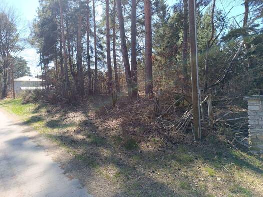 Grundstück zum Kauf 447.000 € 3.593 m² Grundstück frei ab sofort Kiefernring 20 Töpchin Mittenwalde 15749