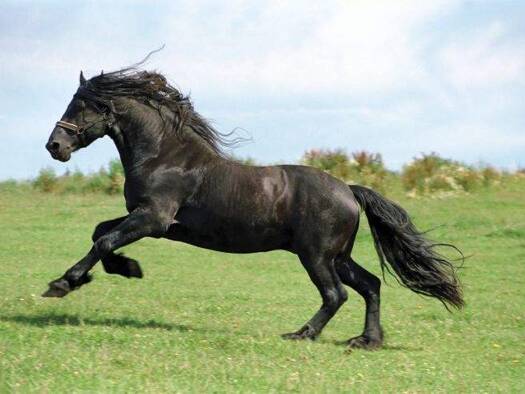 Bauernhof zum Kauf 5.500.000 € 80.000 m² Grundstück Katzbach Reichertsheim 84437