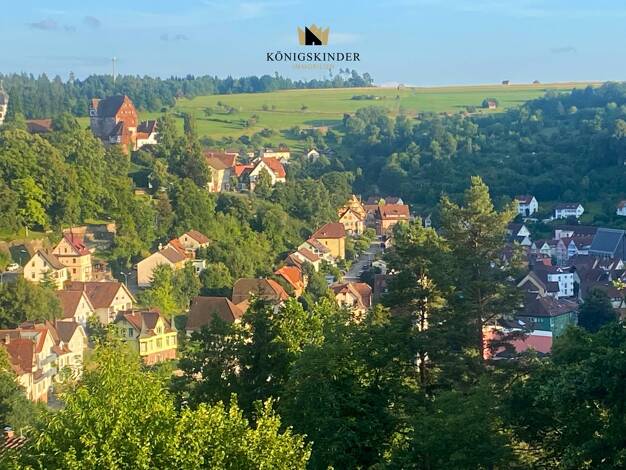 Grundstück zum Kauf 180.000 € 800 m² Grundstück Altensteig 72213